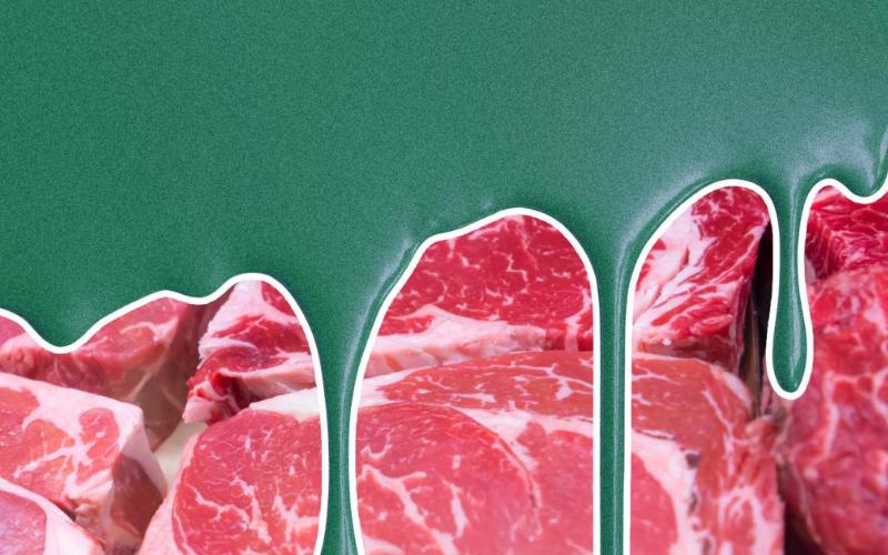 Empresas de Carne y Lácteos Acusadas de Lavado Verde en Declaraciones Ambientales