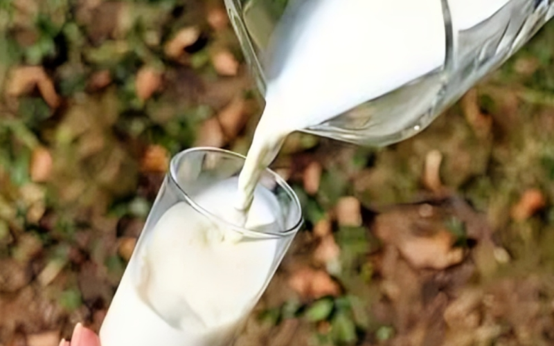 FSSAI要求东哥达瓦里乳制品单位在牛奶掺假事件后必须取得许可证