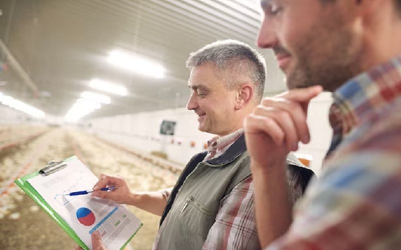 Нужна ли молочной отрасли России модернизация стандартов? Нужна ли молочной отрасли России модернизация стандартов?