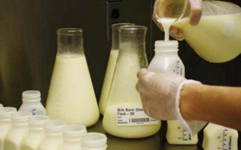 Colombia: A Crisis in the Dairy Industry Due to Milk Adulteration