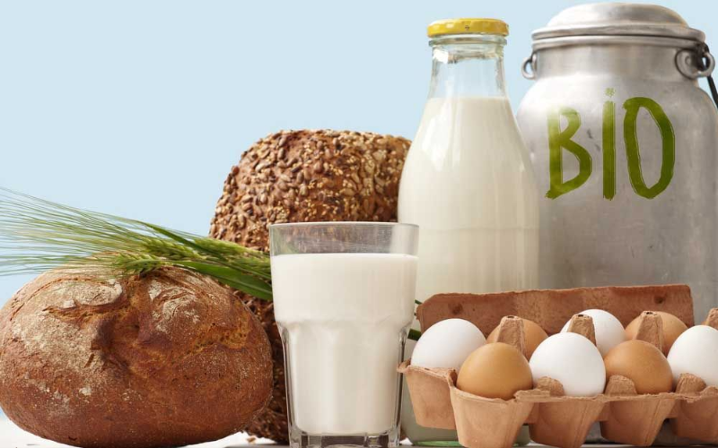 Organic Dairy Farmers 'Optimistic' About the Sector