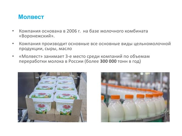 Молвест тендеры. Молвест тендеры