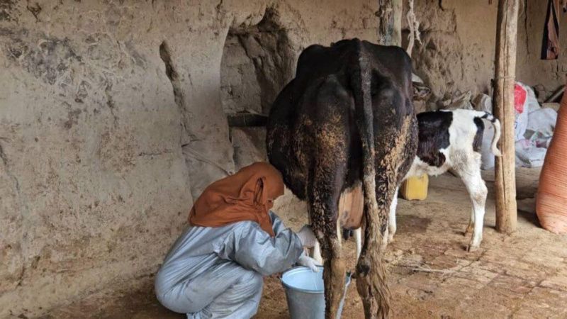 المزارعات في جوزجان يواجهن ارتفاع التكاليف ويطلبن الدعم