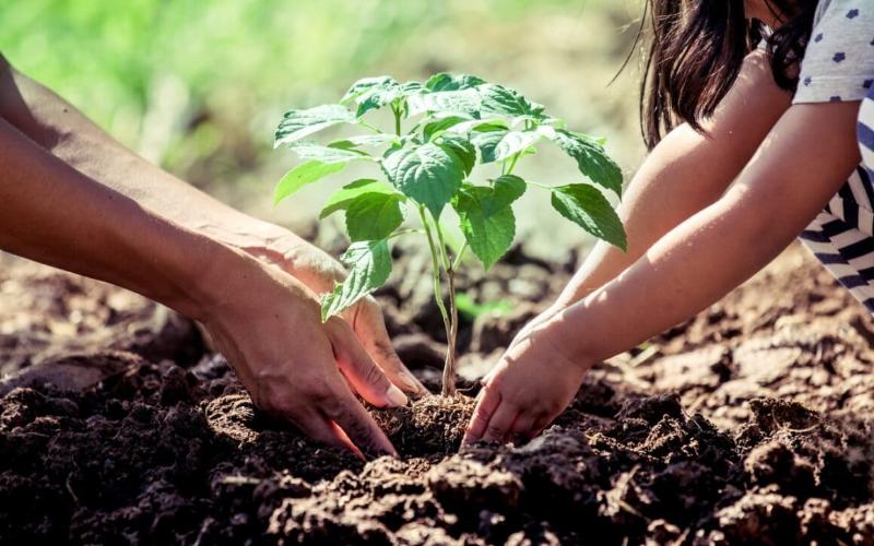 تعاون إديكا مع الألبان الإقليمية لخفض انبعاثات الزراعة