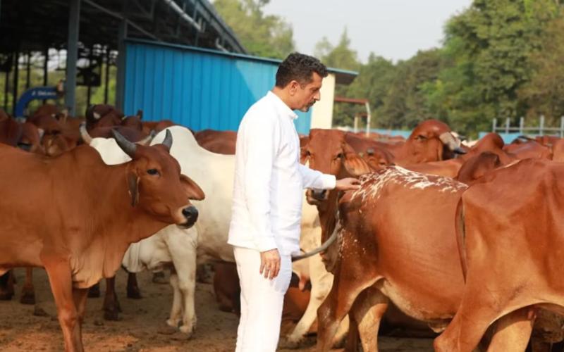 Ananda Dairy Launches Advanced Cattle Feed to Boost Milk Quality