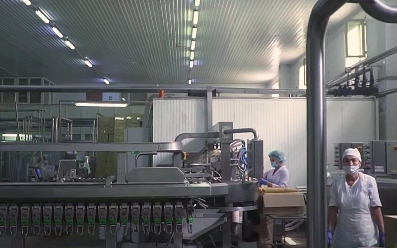 Milk production in Belarus increased by 2.7% from January to November 2025