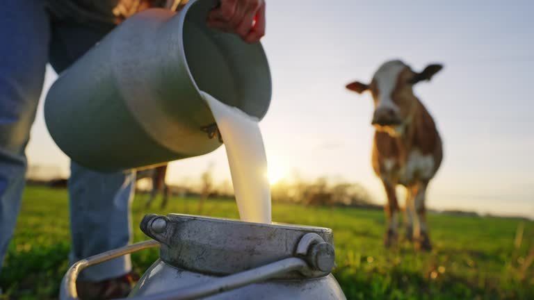 EU Raw Milk Prices Fell 19.6% Year on Year