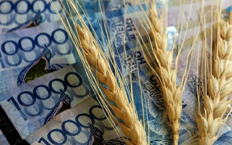 В деятельности Продкорпорации выявили нарушения антимонопольного законодательства