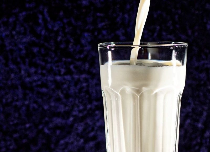 El Consejo Nacional de Productos Lácteos Busca Jóvenes Talentos para la Próxima Campaña