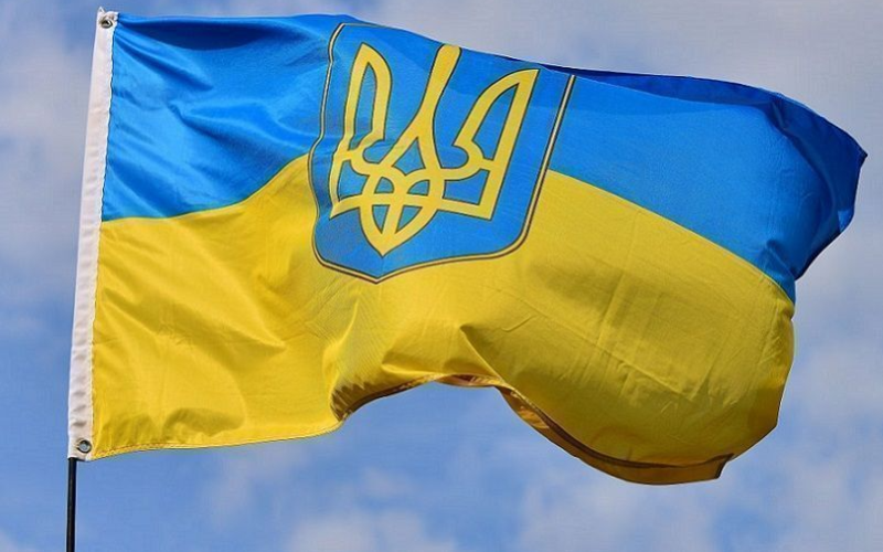 Ukraine's Dairy Export Boom Amidst Conflict