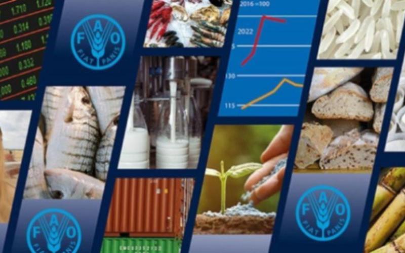 FAO reports April surge in cereal, dairy, and meat prices
