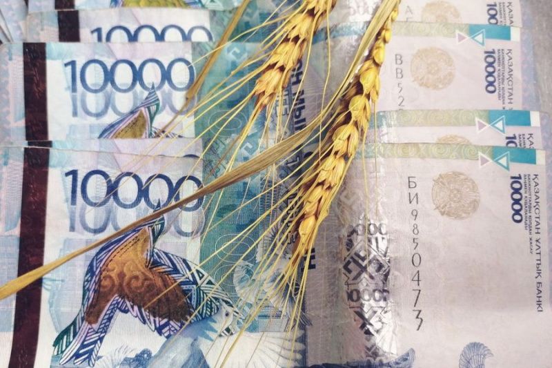 Казахстан перераспределяет финансирование агропромышленных проектов