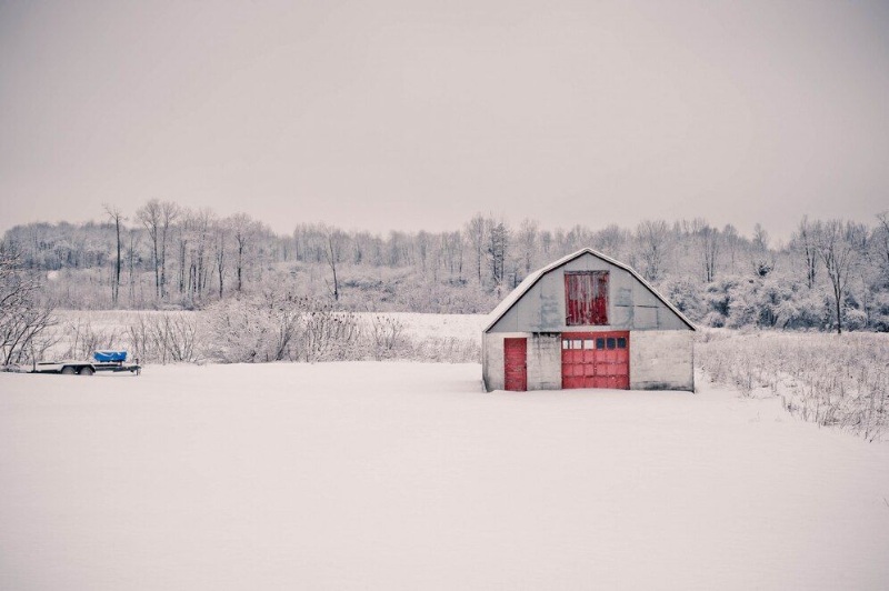 Efficient Farming for a Merry Christmas: Tips to Ease the Christmas Day Workload