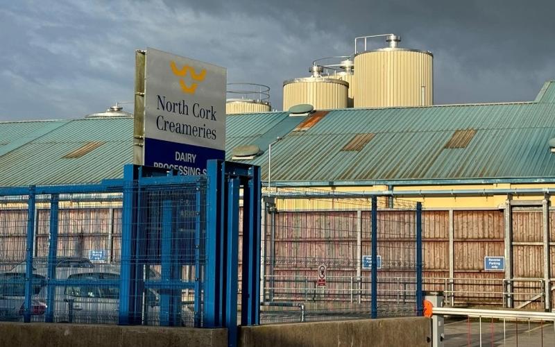 La Cooperativa Láctea de North Cork Multada por Violación de Descarga de Efluentes