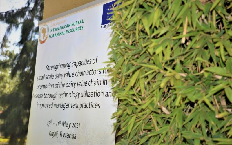 Rwanda Proposes Dairy Board to Enhance Milk Industry Regulation