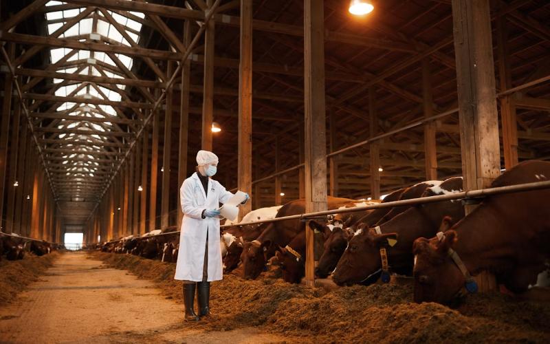HHS Enables FDA Emergency Use of Animal Drugs Against New World Screwworm