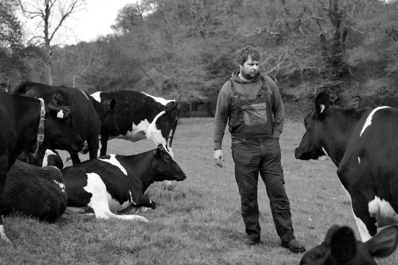 UK Dairy Farmers Face Economic Strain Amidst Milk Price Decline