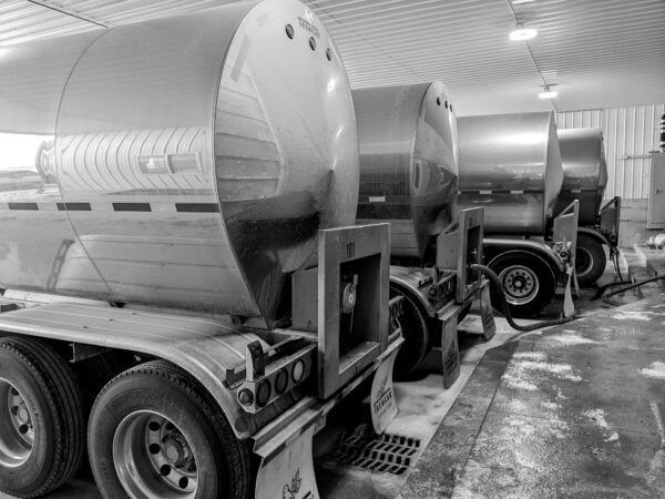 Gıda Bankalarıyla İşbirliği, Michigan'da Süt Ürünlerine Talebi Artırıyor