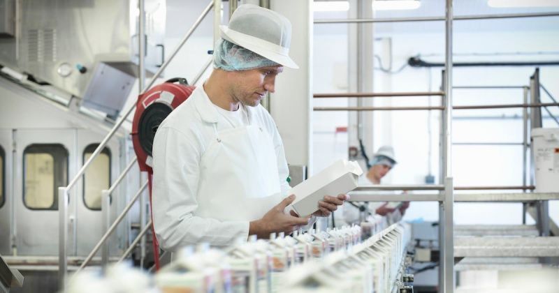 La entrega de leche en Gran Bretaña disminuyó debido al estrés térmico y al impacto del virus Bluetongue