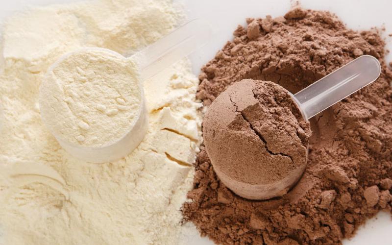 Surging Demand for Whey Protein Driven by Health Trends and Weight-Loss Drugs