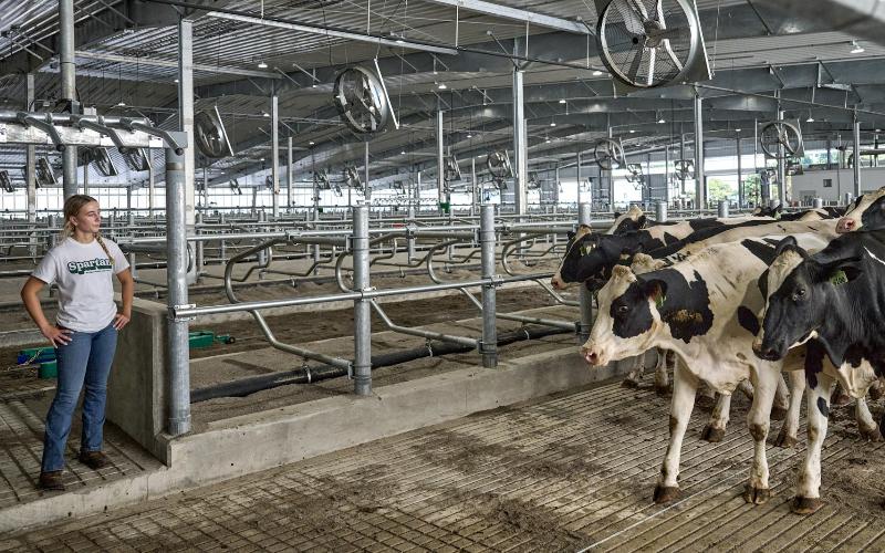 Michigan State University Launches Advanced Dairy Facility for Agribusiness Education
