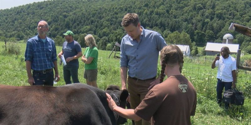 Legislation Aims to Streamline Organic Certification Processes