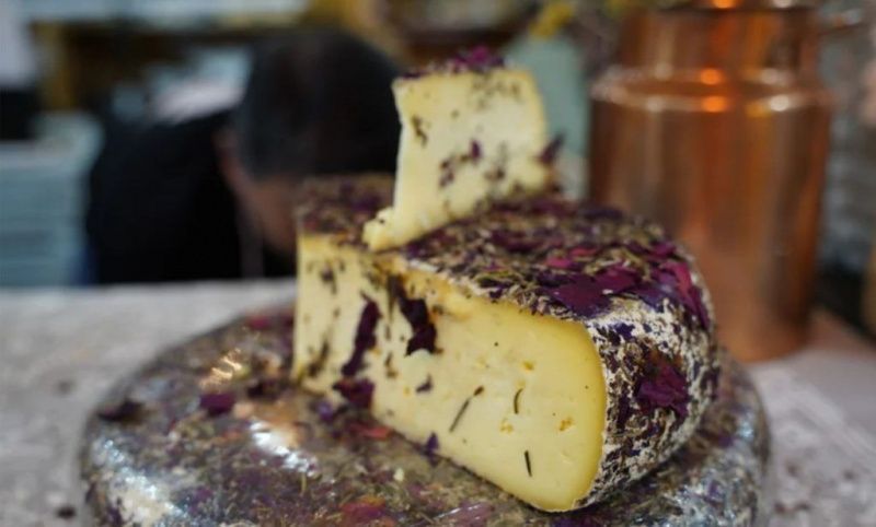 Researchers Map Serra Gaúcha Cheese Microbiota