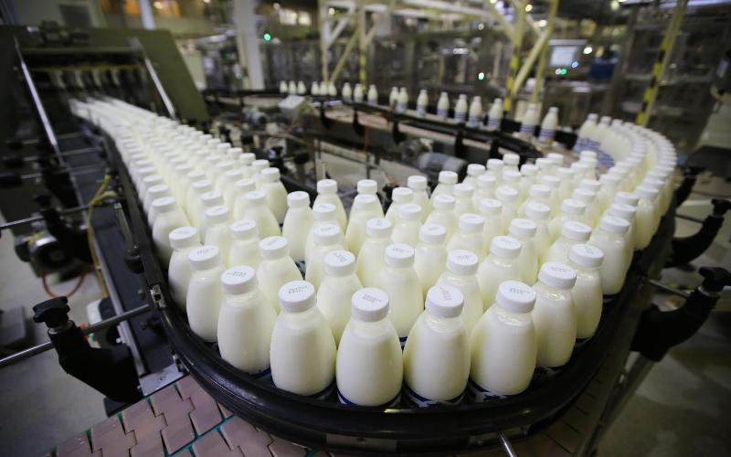 Kolombiya Hükümeti Süt Ürünleri İthalatının Etkisini Azaltmak İçin 3,75 Milyar Dolar Ayırdı