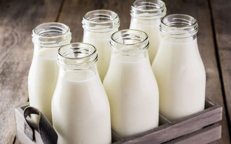 India’s Dairy Industry Adopts Biosolutions to Raise Yield and Extend Shelf Life
