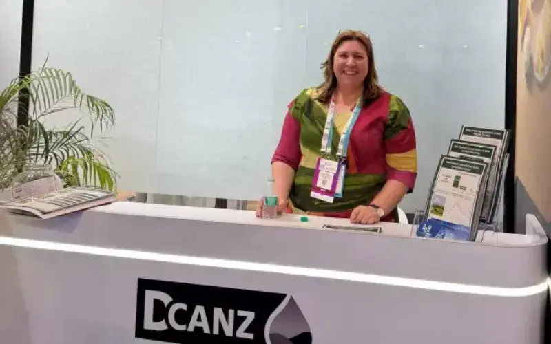 Infratil'in Olağanüstü Büyümesi Yatırımcıların Dikkatini Çekiyor