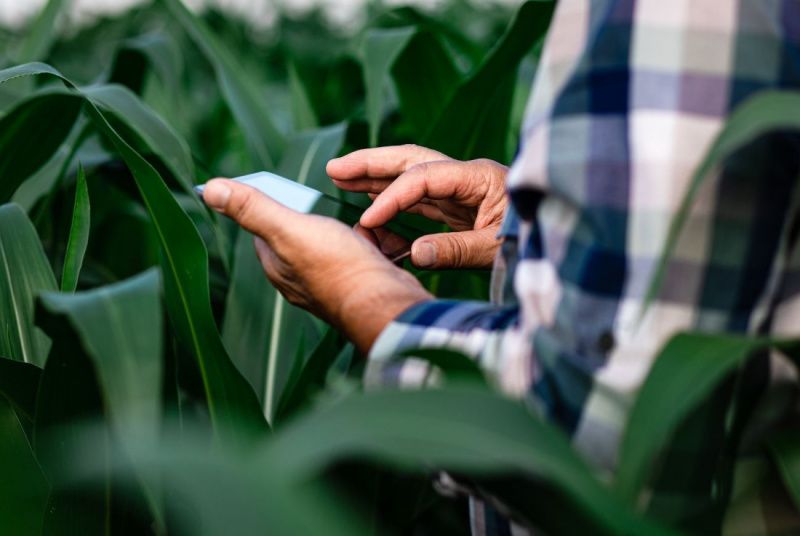 Elon Musk will create an artificial intelligence tool to obtain data on real agricultural production