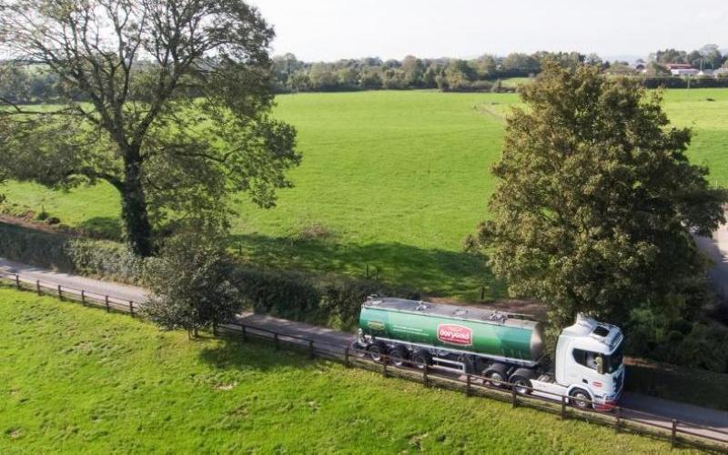 Dairygold Eylül Süt Fiyatını Düşürdü: Tonda 1,600€ Azalma