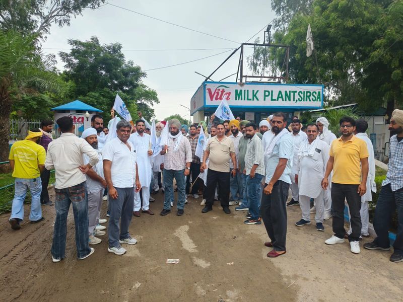 Haryana Dairy Farmers Demand ₹2–3 per Kg More from Vita