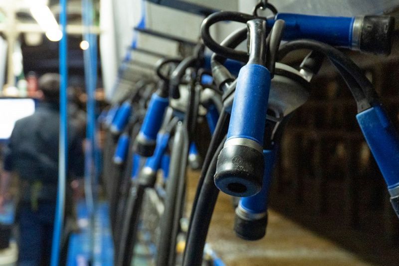 Rabobank Predicts European Milk Price Rise by Late 2026