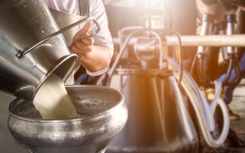 Dairy Farmers Face Declining Gate Prices Amid High Retail Costs