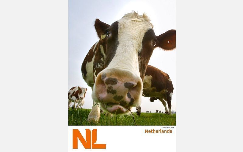 Hollanda, KazAgro/KazFarm-2025'te Yenilikleri Tanıtmak İçin Kazakistan ile Tarımsal İşbirliğini Geliştiriyor