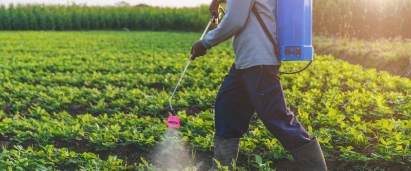 USDA'nın Yerli Gübre Üretimini Artırmak İçin 500 Milyon Dolarlık Yatırımı