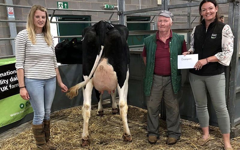 Record prices set at Shrewsbury June dairy show and sale