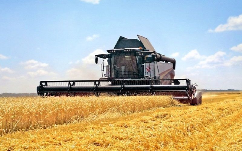 Первый миллион зерна намолотили в Казахстане