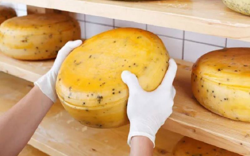 Cajamar and InLac Analyze the Challenges and Opportunities of the Spanish Cheese Sector