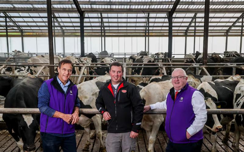 Tyrone Dairy Farm Invests £750,000 in Automated Milking Technology