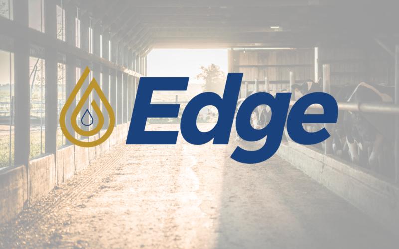US Dairy Shift: Edge Cooperative Ranks Second-Largest in Milk