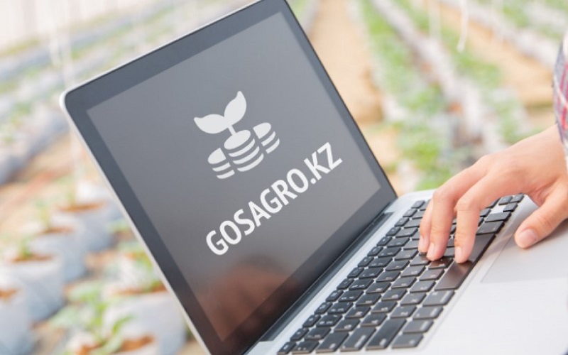 Gosagro.kz: фермеры подали заявки на 17 миллиардов тенге