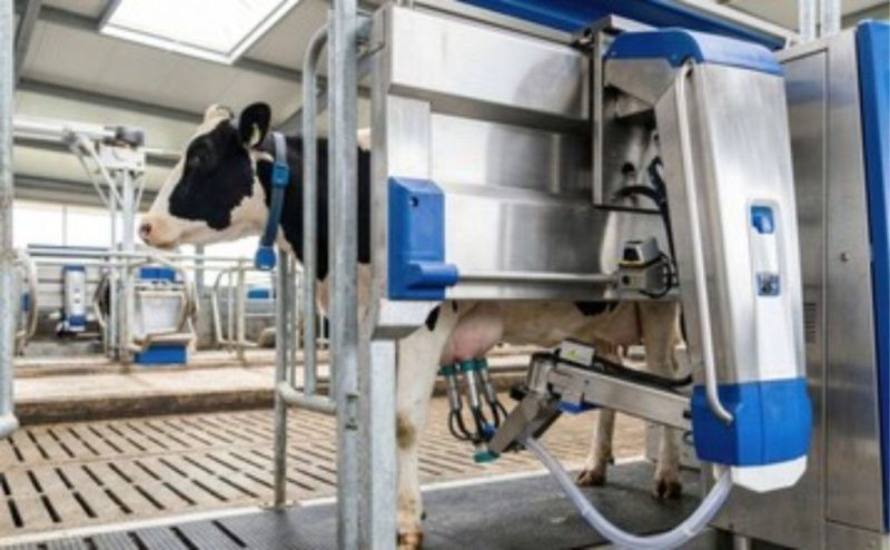 Brazil's Robotic Milking Systems Remain 93.6% Concentrated in the South