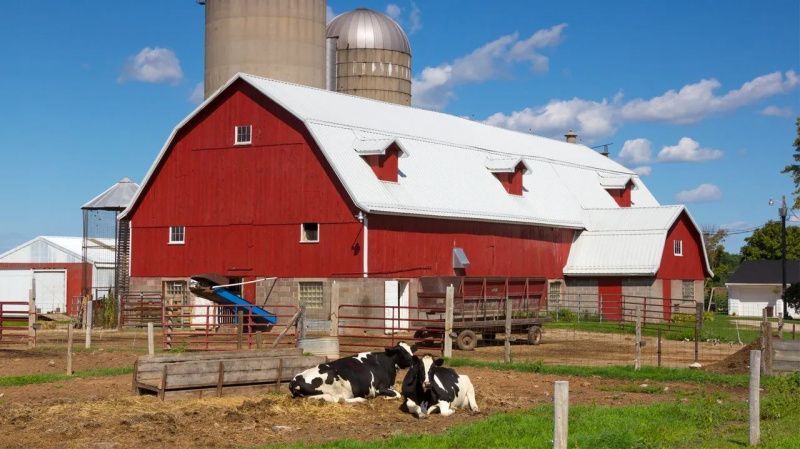 Wisconsin's Licensed Dairy Herd Count Falls Below 5,000