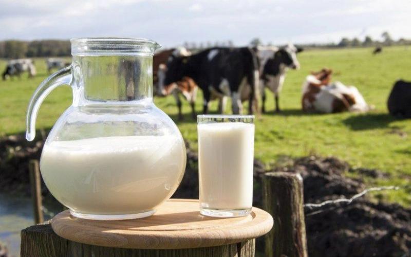 USDA Forecasts 2026-2027 Milk Prices with Expected Fluctuations
