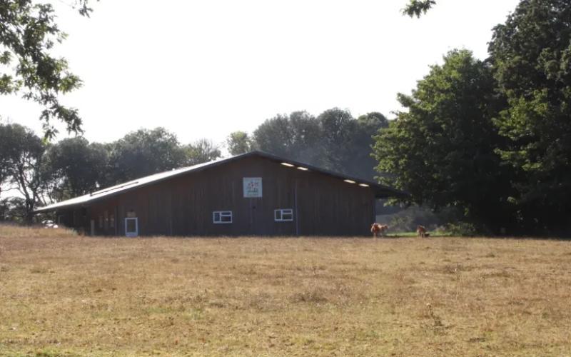 Sark Dairy Seeks £25,000 for New Pasteuriser to Resume Operations