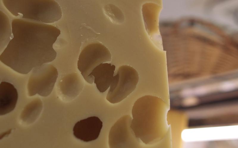 The War of the Illegal Cheese
