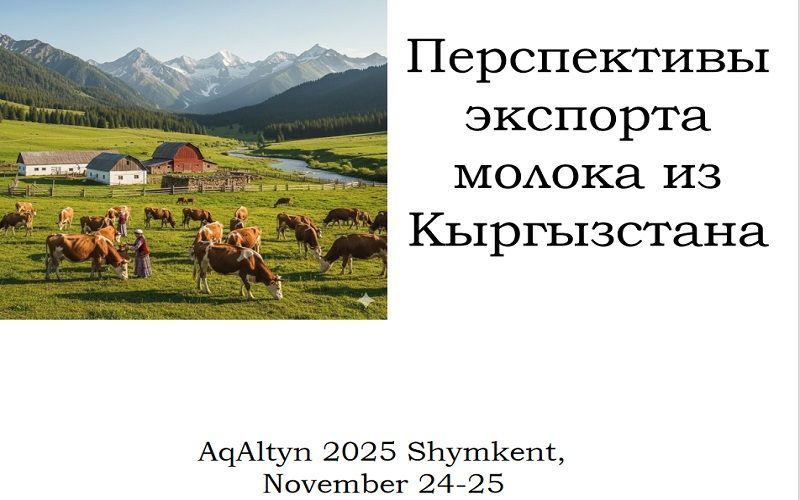 AqAltyn 2025 - Презентация Азизбека Кыргызбаева, директора Ассоциации животноводов Кыргызстана