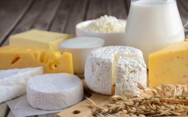 Overall Production of Cheese and Cottage Cheese in Kazakhstan Declines by 18.2% to 3.4 Thousand Tons